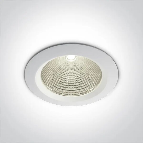 VGRADNA LED SVETILKA 30W/4000K/2700lm 60 ST. Z GNAIL BELA DM10130CA/W/C