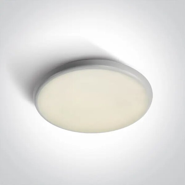 STROPNA SVETILKA LED/25W/4000K/200lm/240V IP54 BELA DM67370/W/C