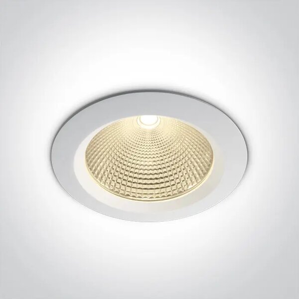 VGRADNA LED SVETILKA 30W/3000K/2700lm 60 ST. Z GNAIL BELA DM10130CA/W/W