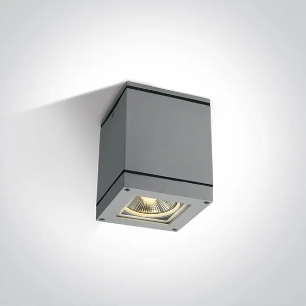 STROPNA SVETILKA 1XE27 75W IP54 SIVA DM67132D/G