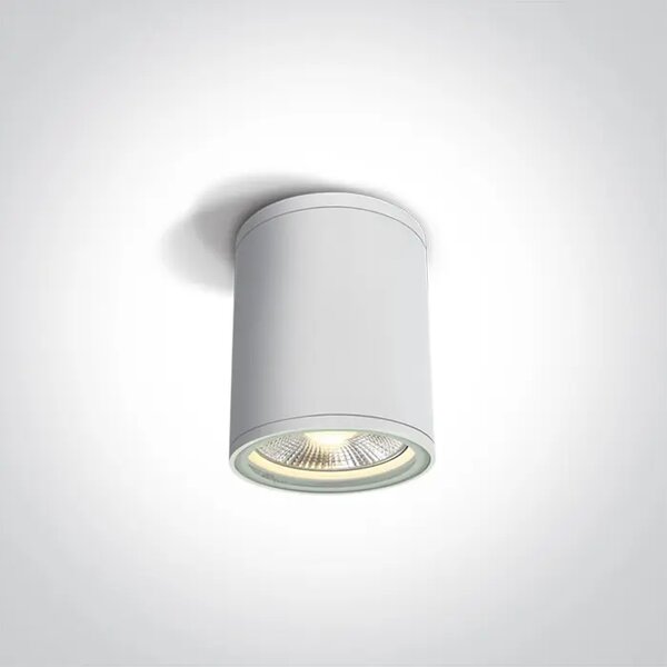 STROPNA SVETILKA 1×E27/75W/PAR30/230V IP54 BELA DM67132C/W