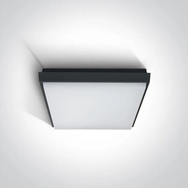 STROPNA SVETILKA LED/20W/1600lm/3000K/230V IP54 ANTRACITNA DM67362A/AN/W