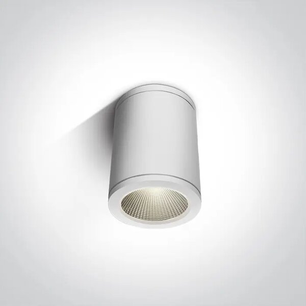 STROPNA SVETILKA LED/6W/3000K/440lm/35°/240V IP54 BELA DM67138C/W/W