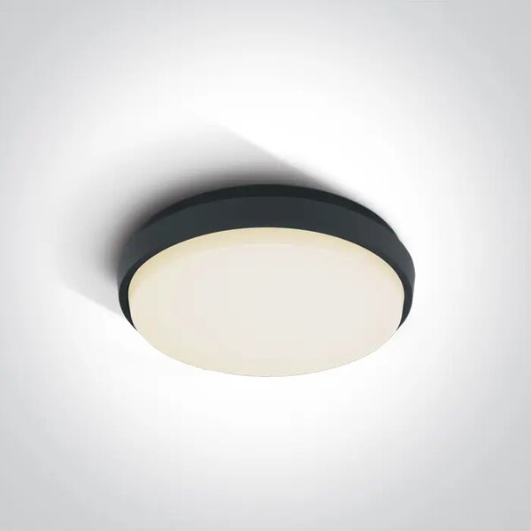 STROPNA SVETILKA LED/20W/1600lm/3000K/fi:238mm/230V IP54 ANTRACITNA DM67362/AN/W