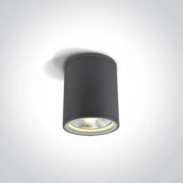 STROPNA SVETILKA 1×E27/75W/PAR30/230V IP54 ANTRACIT DM67132C/AN