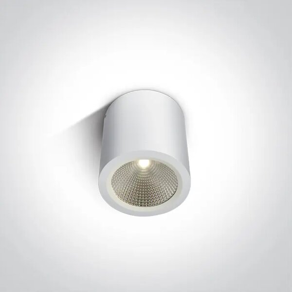 LED STROPNA SVETILKA 10W/3000K/700lm/60°/240V IP54 BELA DM67380/W/W