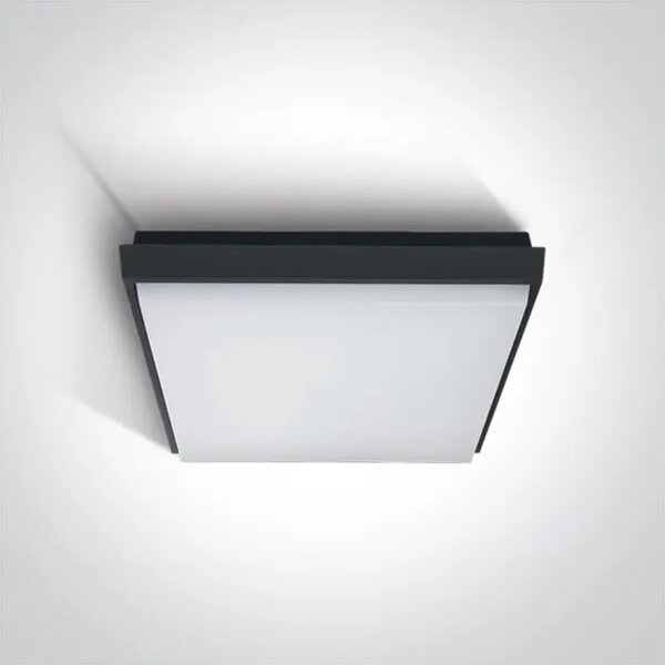 STROPNA SVETILKA LED/30W/2500lm/3000K/230V IP54 ANTRACITNA DM67363A/AN/W