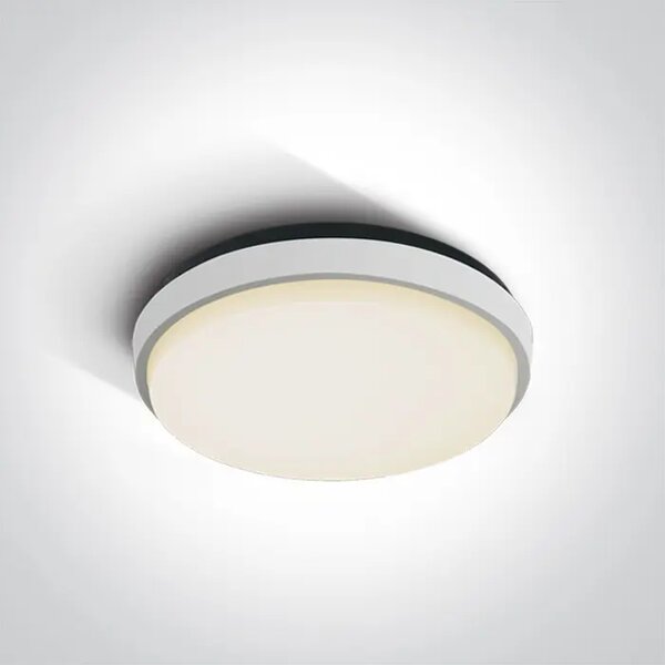 STROPNA SVETILKA LED/30W/2500lm/3000K/230V IP54 BELA DM67363/W/W