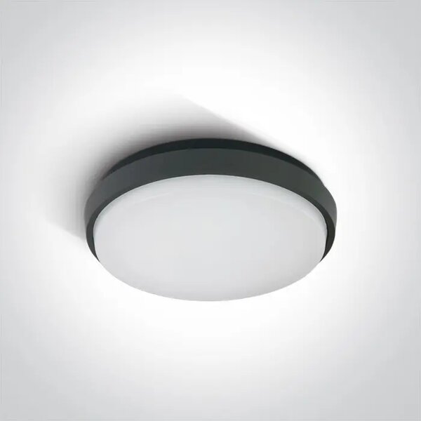 STROPNA SVETILKA LED/30W/2500lm/3000K/230V IP54 ANTRACITNA DM67363/AN/W
