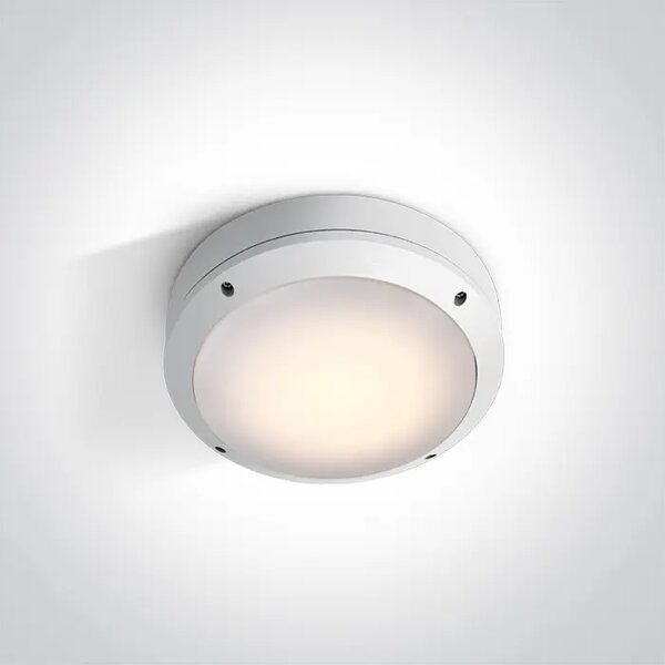 STROPNA SVETILKA LED 2×E27/20W/230V IP54 BELA DM67204/W