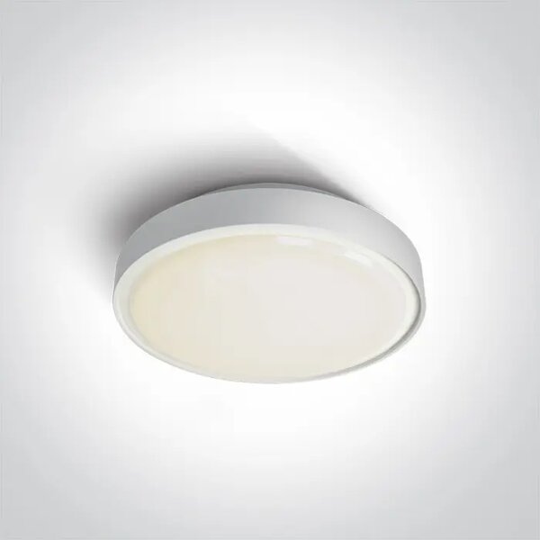 STROPNA SVETILKA LED 1×E27/12W/E27/230V IP65 BELA DM67280E/W
