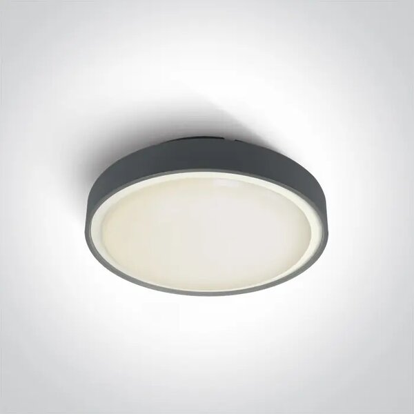 STROPNA SVETILKA LED 24W/1440lm/IP65/230V/fi.300mm/ANTRACIT DM67280AN/AN/W