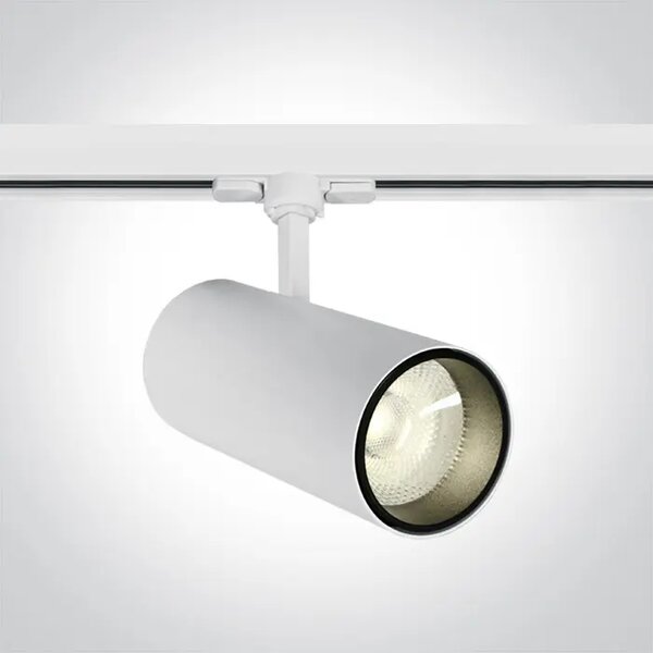 LED REFLEKTOR ZA PLOŠČO/30W/4000K/2600lm/38°/230V BELA DM65642CT/W/C