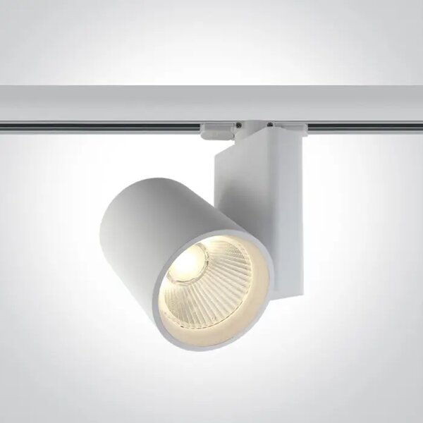 LED REFLEKTOR ZA PLOŠČO/30W/3000K/2400lm/38°/230V BELA DM65612NT/W/W