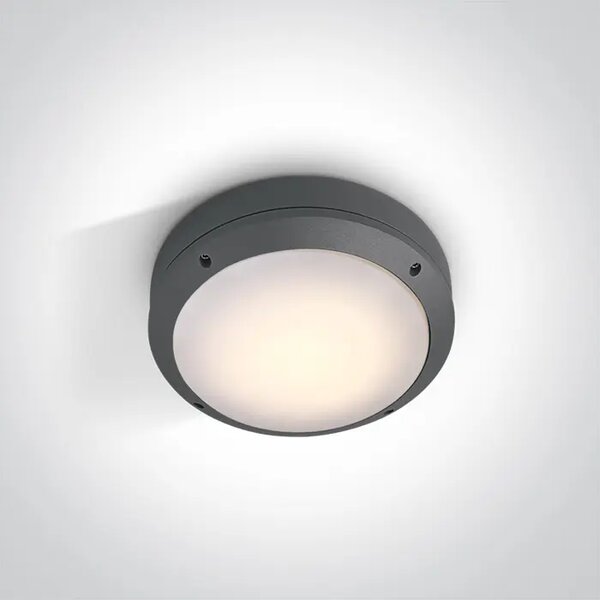 STROPNA SVETILKA LED E27/60W/220V IP54 ANTRACIT DM67204/AN