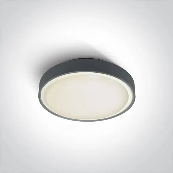 STROPNA SVETILKA LED 16W/960lm/IP65/230V/fi.260mm/ANTRACIT DM67280N/AN/W