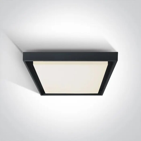 STROPNA SVETILKA LED 30W 2500lm IP54 ČRNA DM67384A/AN/W
