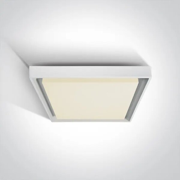 STROPNA SVETILKA LED 30W IP54 BELA DM67384A/W/W