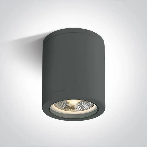 STROPNA SVETILKA E27 10W PAR30 IP65 ANTRACIT DM67142C/AN