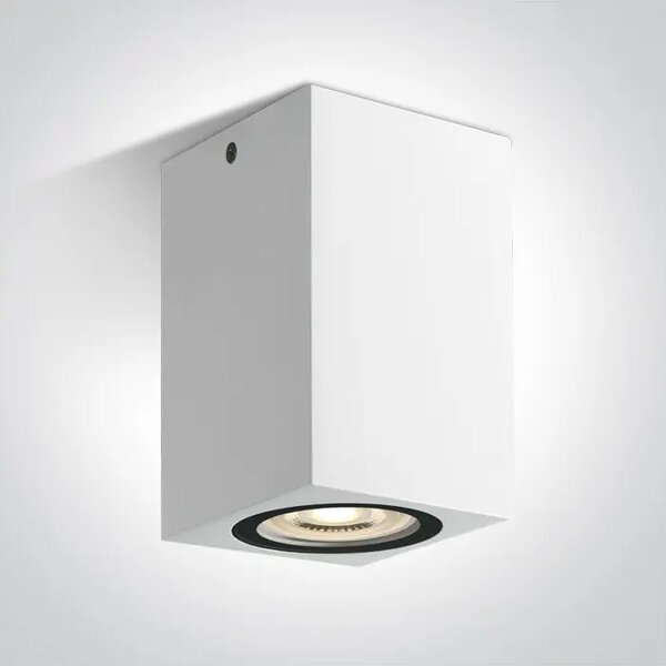 STROPNA SVETILKA 1×GU10 10W 230V IP65 BELA DM67142D/W