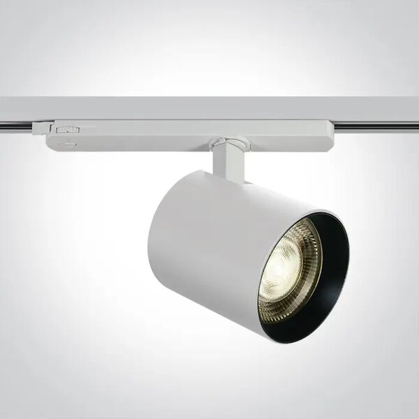LED REFLEKTOR ZA VALJČKO/20, 25, 30, 25 W/3000 K/2400–4200 lm/38°/230 V BELA DM65660BT/W/W