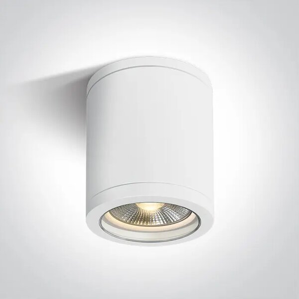 STROPNA SVETILKA 1XE27 10W PAR30 IP65 BELA DM67142C/W