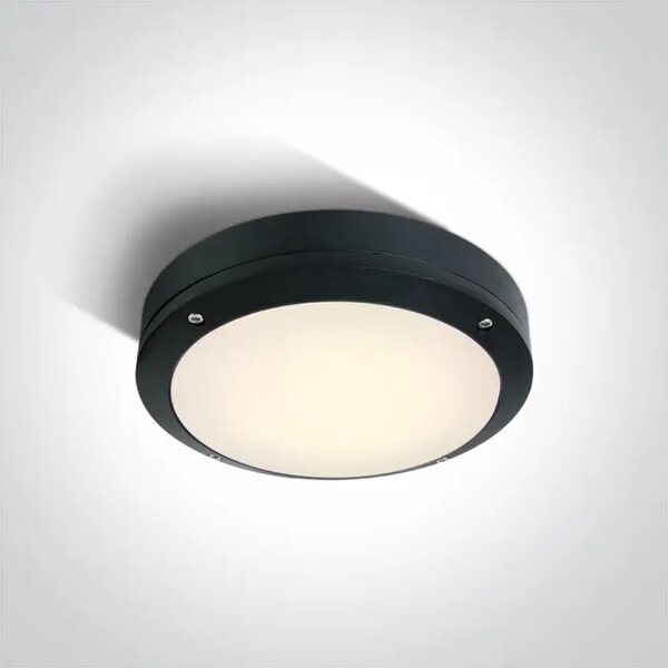 STROPNA SVETILKA LED IP54/10W WW ČRNA DM67442/B/W