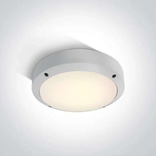 STROPNA SVETILKA LED 10W WW IP54 230V BELA DM67442/W/W