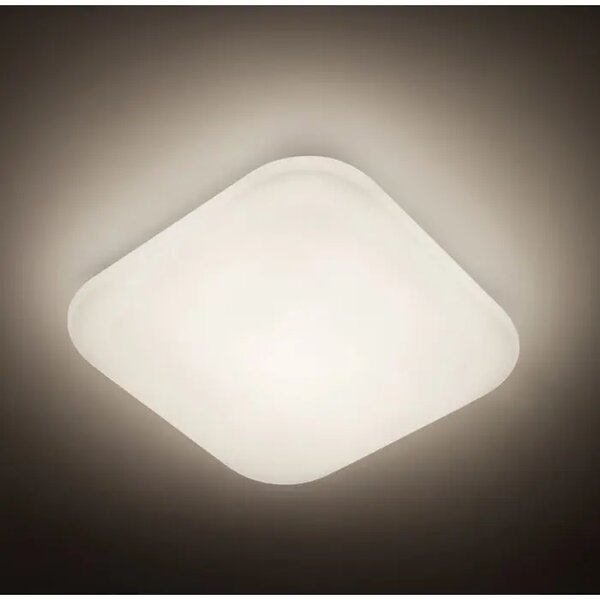 VIJOLIČASTA LED STROPNA SVETILKA 4000K 17W BELA 31110/31/P3