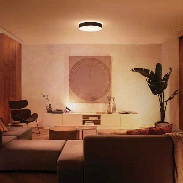 STROPNA SVETILKA PHILIPS HUE, ČRNE RAZLIKE 8718696176467