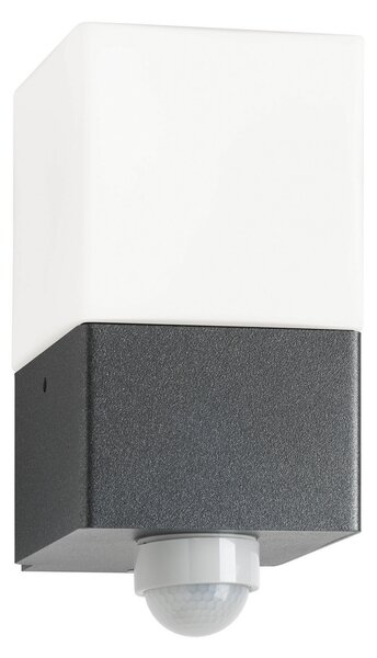 LCD Zunanja stenska svetilka Linus, grafit, senzor, nerjaveče jeklo, steklo, E27, Črna, Nerjaveče jeklo, Sodobni