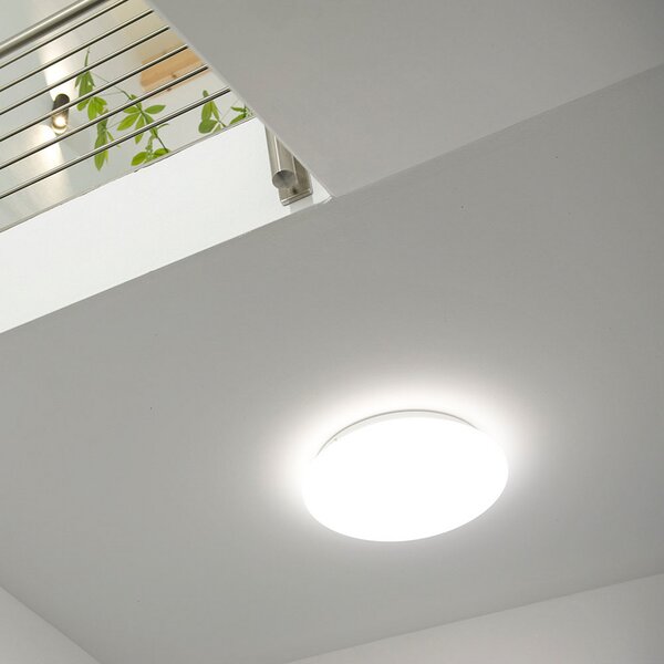 DOTLUX LED stropna svetilka LUNA, bela, Ø 33 cm, PMMA, CCT IP44, Bela, Kopalnica, Plastika, Sodobni