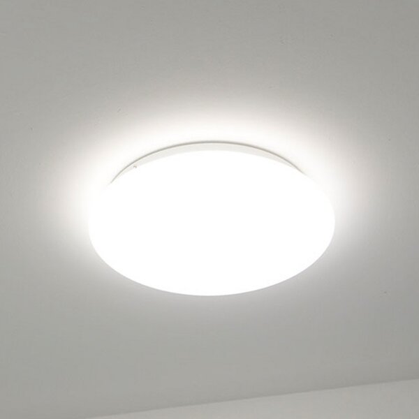 DOTLUX LED stropna svetilka LUNA, bela, Ø 33 cm, PMMA, CCT IP44, Bela, Kopalnica, Plastika, Sodobni