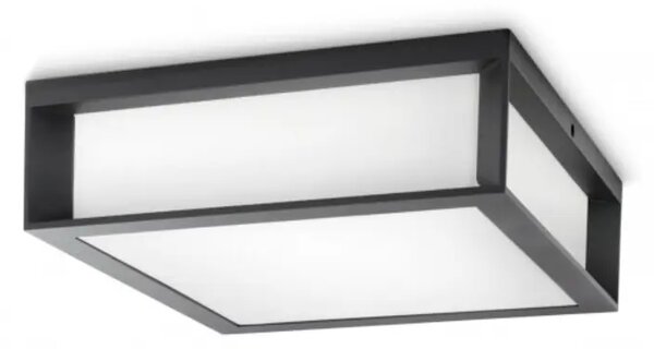 Skies ZUNANJA STENSKA SVETILKA antracit 2x14W 230V 8719514385320