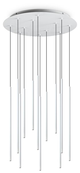 FILO LESTENEC SP12 BEL ID263441