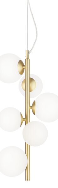 PERLAGE lestenec SP6 BEL G9 ID283821