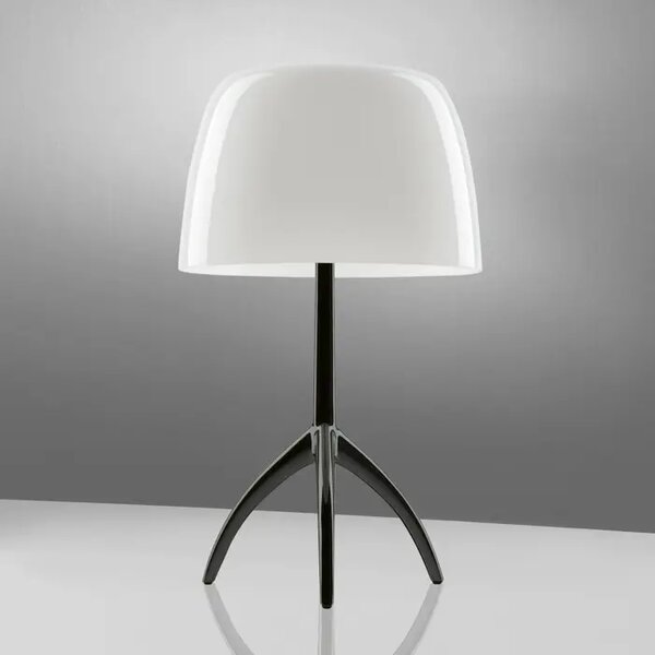 LUMIERE PICCOLA E14 KROM NAMIZNA SVETILKA NERO/BIANCO FOSCARINI FN026021EC_11