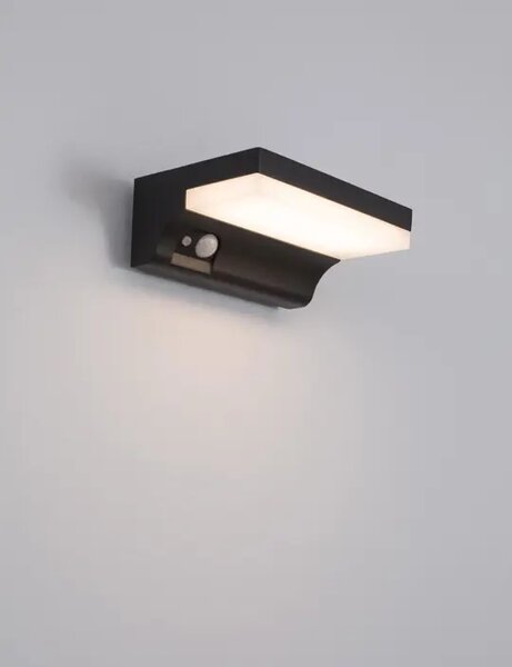 DYN ZUNANJA STENSKA SVETILKA LED 1,5 W / 3000 K / 152 lm / IP65 / ANTRACIT SENZORSKA SONČNA NL9190101