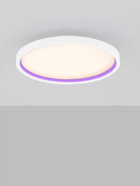 STROPNA SVETILKA CHET LED/2700-5000 K/30W/2057Lm/BELA NL9030653
