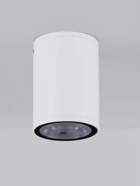 STROPNA SVETILKA LUMINA LED 3000K 509lm IP65 BELA NL9030843