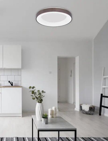 RANDO TANKA STROPNA SVETILKA LED 50W/3000K/2864lm/DIMM/IP20/TL RJAVA NL9353855