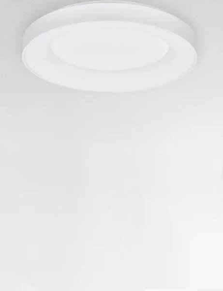 RANDO TANKA STROPNA SVETILKA LED 50W/3000K/2864lm/DIMM/IP20/BELA NL9353852