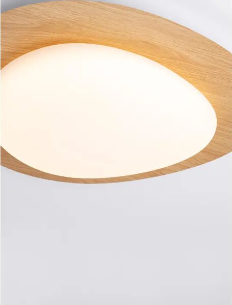 STROPNA SVETILKA NIMBUS LED/3000K/21W/1571Lm/LES V BELI BARVI NL9030648