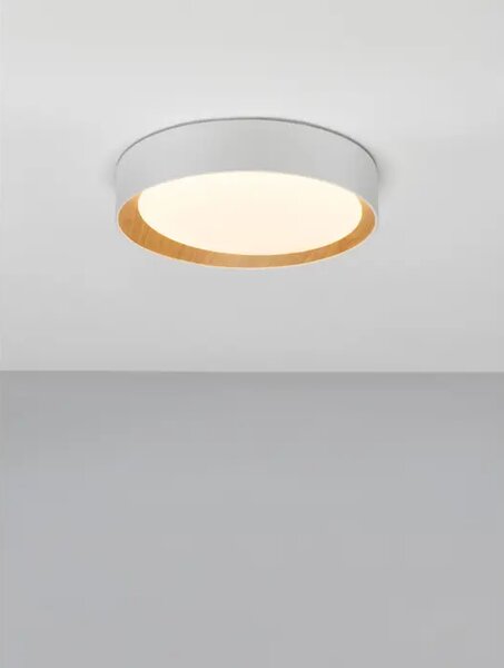 STROPNA SVETILKA LED 30W/3000K/1717lm/DIMM/IP20/BELA NL9345524