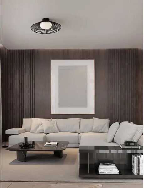 STROPNA SVETILKA BRUME LED/3000K/15W/688Lm/ČRNA NL9620150