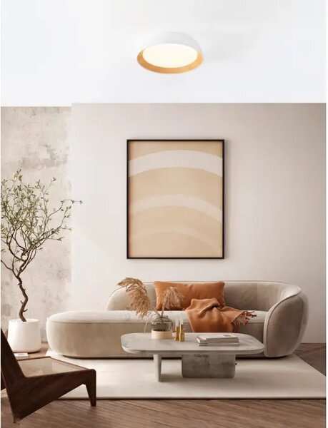 STROPNA SVETILKA SIGI LED /3000K/39W/3081Lm/BELA & LESENA NL9030502