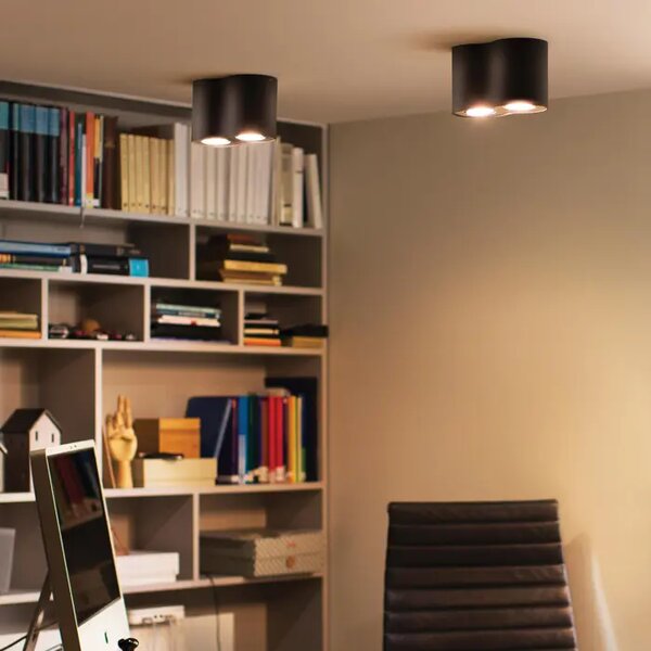 PHILIPS STROPNA SVETILKA PILLAR HUE ČRNA 2X4,2W 2200-6500K + DALJINSKI UPRAVLJALNIK 8720169320116