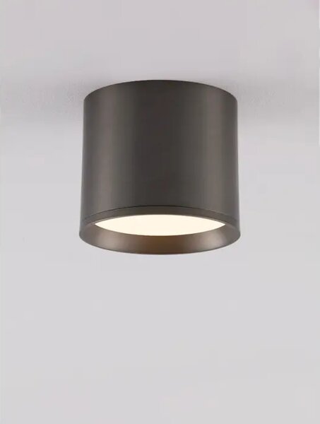 STROPNI REFLEKTOR ZIAZA SREBRNA LED 10W 505lm 3000K IP20 NL9695167