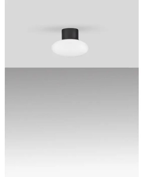 STENSKA SVETILKA ALI LED 6W/3000K/644lm IP65 NL9971456