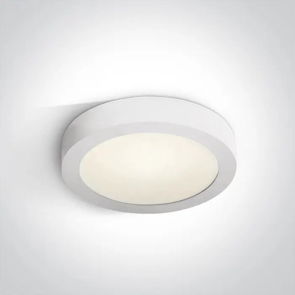 LED STROPNA SVETILKA BELA 15W CCTV IP40 DM62115F/W/V